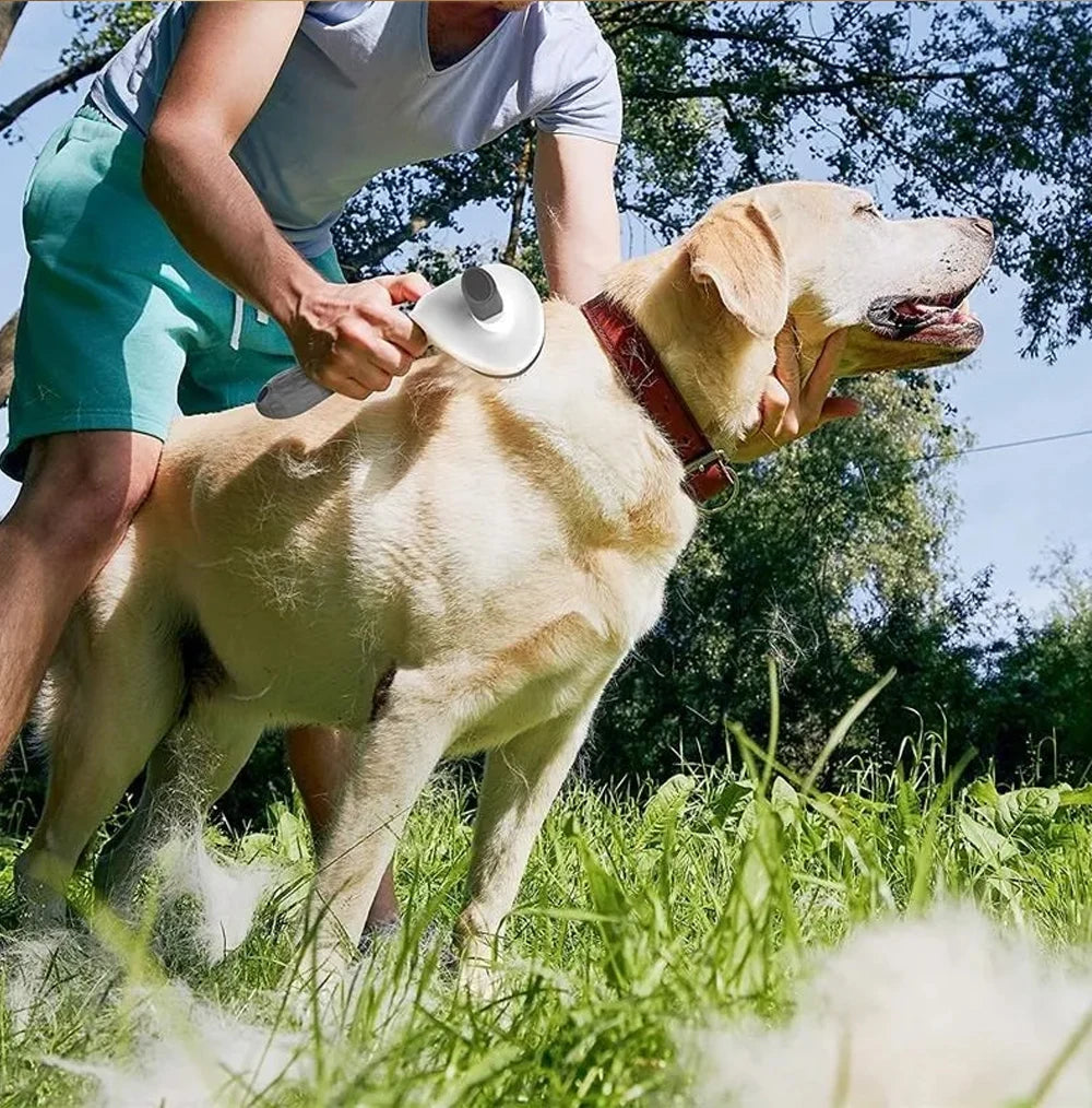 Pet Brush for Dogs & Cats – Self-Cleaning Hair Remover Grooming Tool for Cats and Dogs.