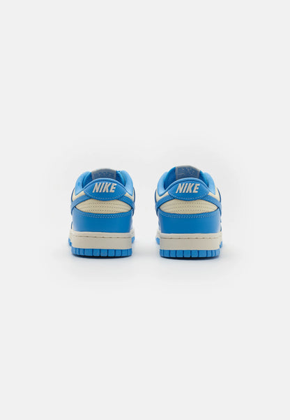 Nike Sb Dunk Low Shoes Classic